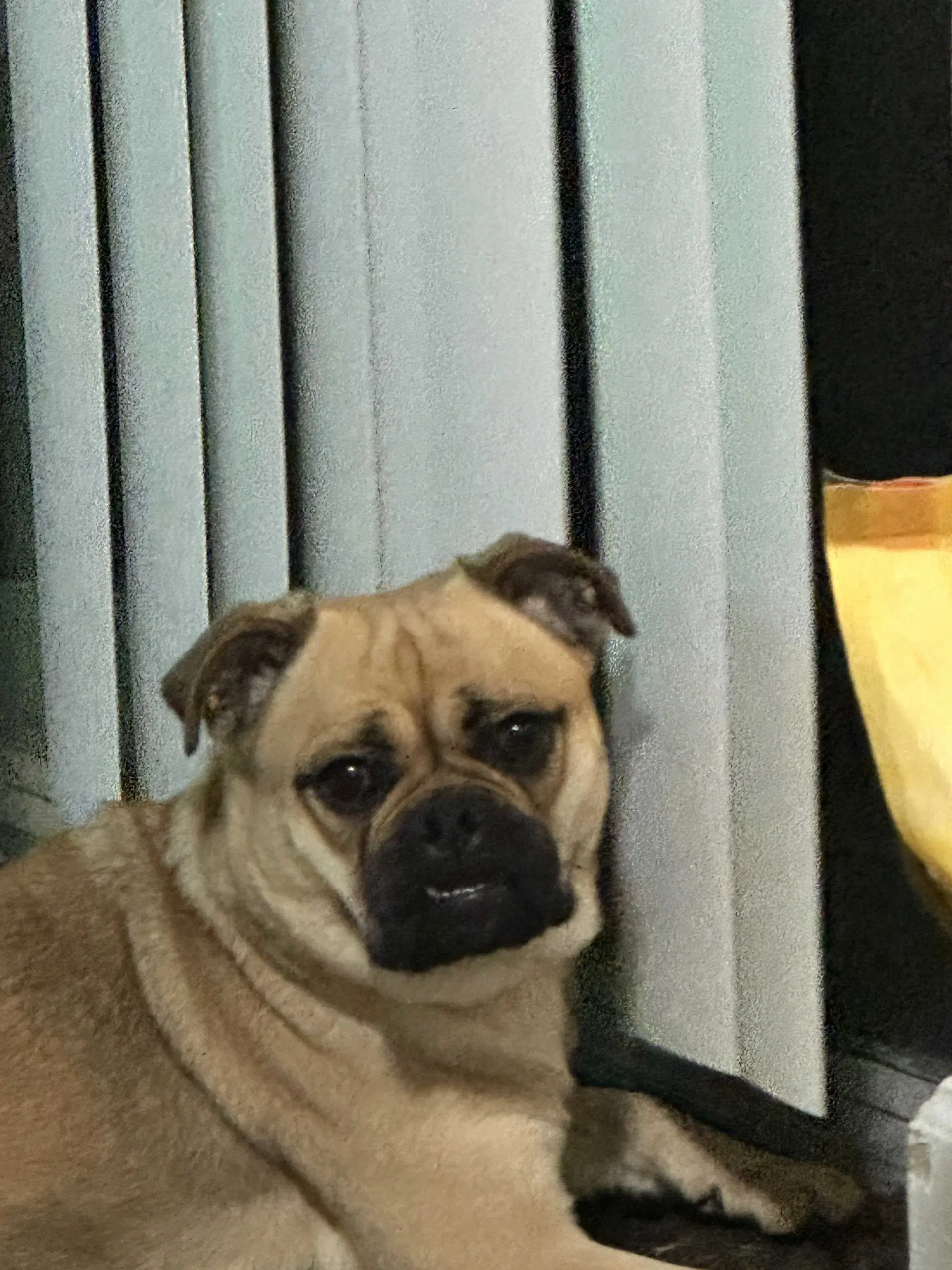 Twix image 3