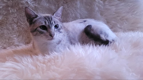 Photo 3 of Lagetha