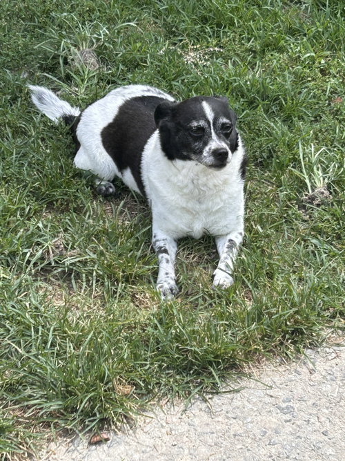 Bella photo 2