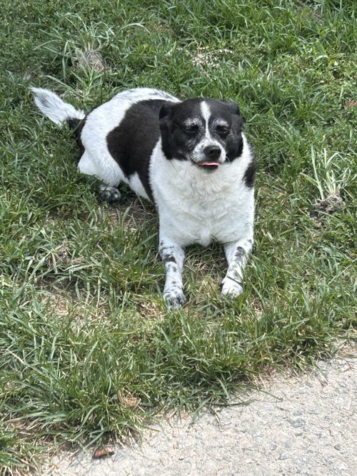 Bella photo 3