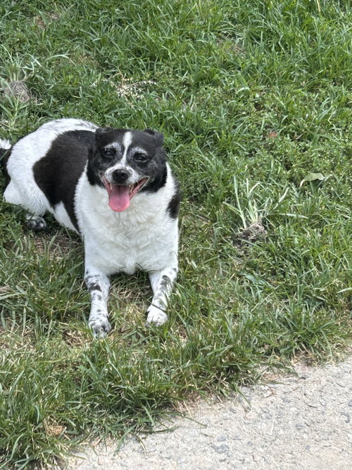 Bella photo 4
