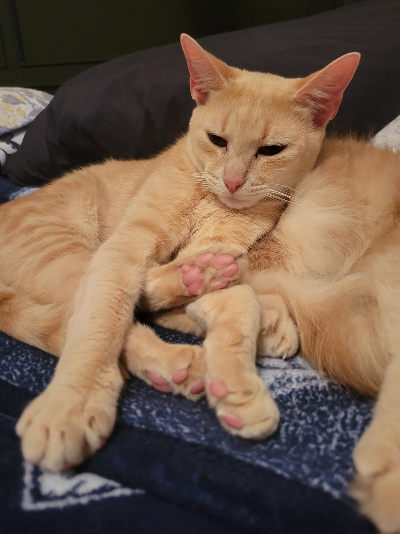 Winifred, photo 3