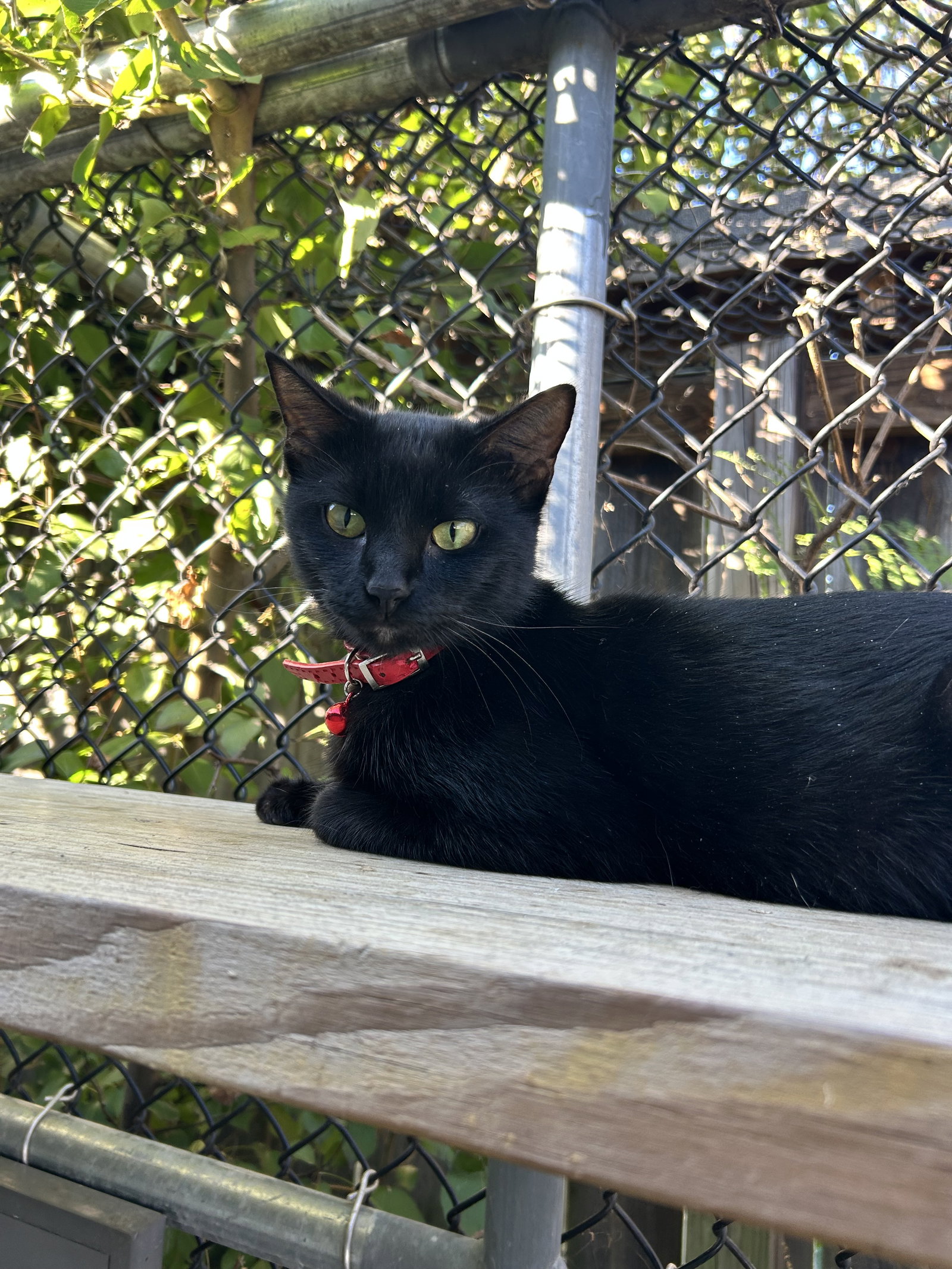 Salem
