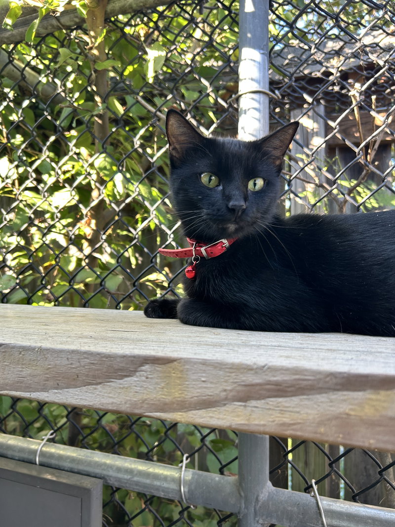 Salem, photo 2