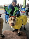 Debo - Photo 4