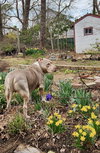 Debo - Photo 5