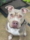 Debo - Photo 16