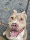 Debo - Photo 20