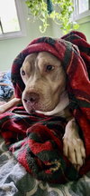 Debo - Photo 22
