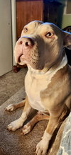 Debo - Photo 17