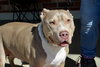 Debo - Photo 10
