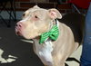 Debo - Photo 21