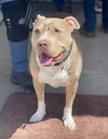 Debo - Photo 9