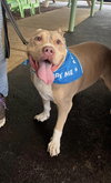 Debo - Photo 12