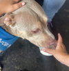 Debo - Photo 11