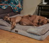 Wemberly - Photo 20