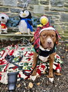 Wemberly - Photo 21