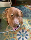 Wemberly - Photo 11