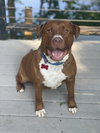 Wemberly - Photo 24