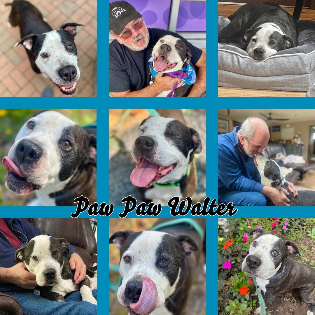 Paw Paw Walter, photo 5