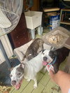 Paw Paw Walter - Photo 18