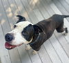 Paw Paw Walter - Photo 20