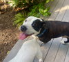 Paw Paw Walter - Photo 22