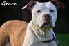 Grace - Photo 23