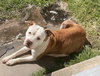 Grace - Photo 24