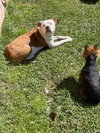Grace - Photo 25