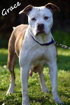 Grace - Photo 22