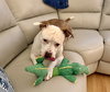 Grace - Photo 20
