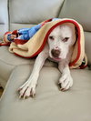 Grace - Photo 16