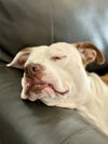 Grace - Photo 17