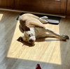 Grace - Photo 13