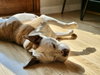 Grace - Photo 10