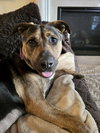Tinker - Photo 14