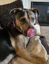 Tinker - Photo 24