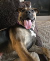 Tinker - Photo 25
