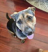 Tinker - Photo 23