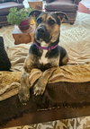 Tinker - Photo 18