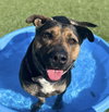 Tinker - Photo 20