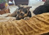Tinker - Photo 21