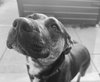 Tinker - Photo 19