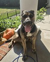 Tinker - Photo 13