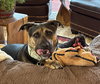 Tinker - Photo 5