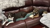 Tinker - Photo 10