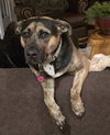 Tinker - Photo 6