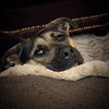 Tinker - Photo 9