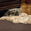 Tinker - Photo 8
